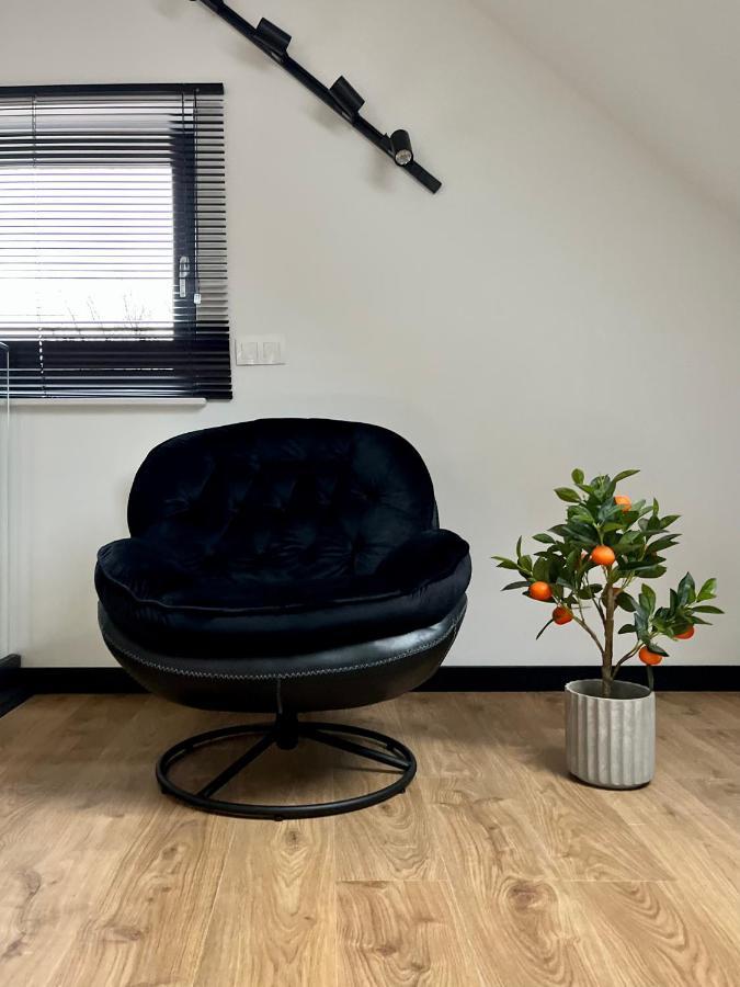 Apartamenty Maxa Czornyja Jelenia Góra Eksteriør billede
