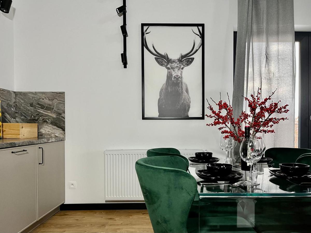 Apartamenty Maxa Czornyja Jelenia Góra Eksteriør billede